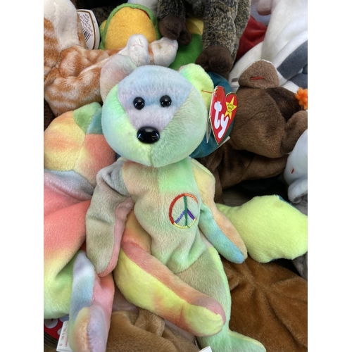 519 - A collection of Ty Beanie Babies to include Peace, 2000 Signature Bear, Halo etc.