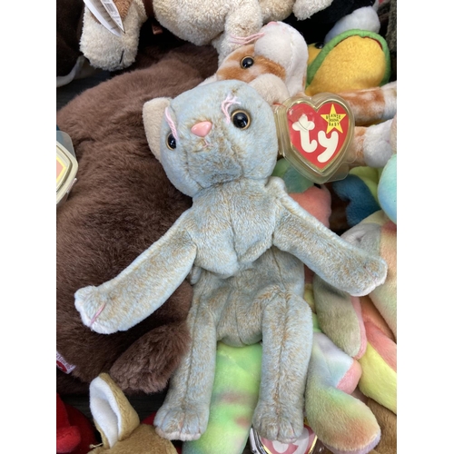 519 - A collection of Ty Beanie Babies to include Peace, 2000 Signature Bear, Halo etc.