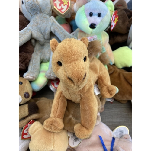 519 - A collection of Ty Beanie Babies to include Peace, 2000 Signature Bear, Halo etc.