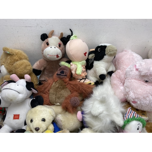 A collection of soft toys
