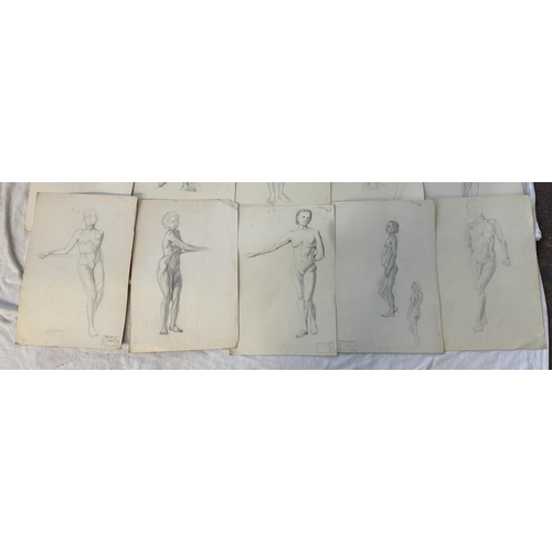 275 - A large collection of Roger Sumner and associates nude pencil sketches