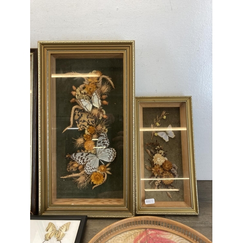 548 - Ten framed taxidermy butterfly specimen displays - largest approx. 53cm wide x 25.5cm high