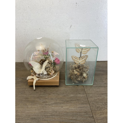 549 - Ten taxidermy butterfly and dried flower displays - largest approx. 23cm high