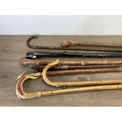 557 - Eight antique and later walking canes to include bamboo with hallmarked Birmingham silver ferule, an... 