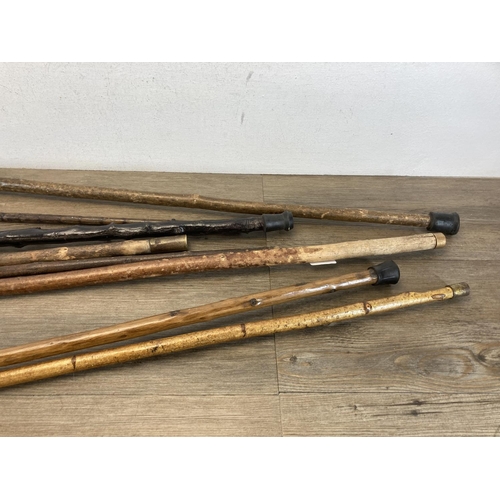 557 - Eight antique and later walking canes to include bamboo with hallmarked Birmingham silver ferule, an... 