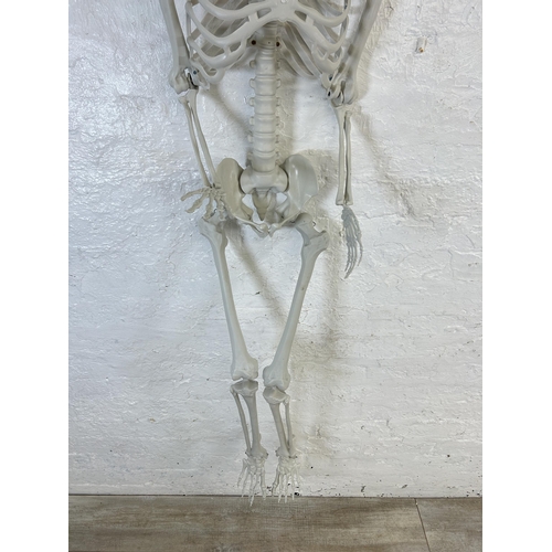 458 - A plastic model of a skeleton - approx. 166cm high