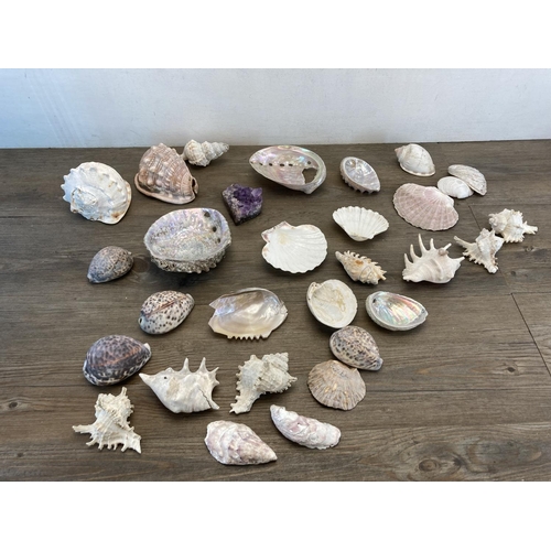 1447 - A collection of seashells together with an amethyst cluster