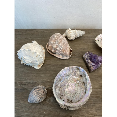 1447 - A collection of seashells together with an amethyst cluster