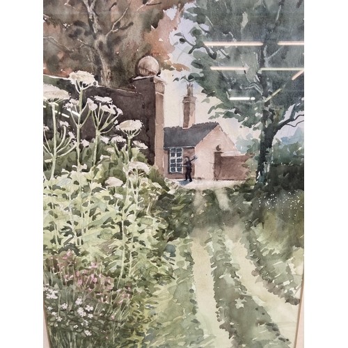 1232 - A late 20th century framed F. Shenton watercolour of a garden scene titled 'Hogweed' - approx. 67cm ... 