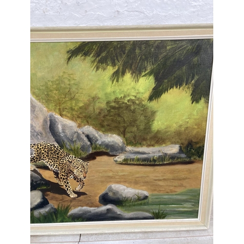 1234 - A mid 20th century framed Digby Sinclair oil on board of a leopard signed and dated 1973 to lower le... 