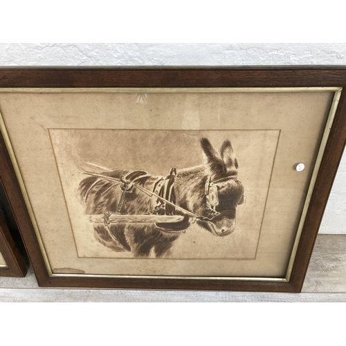 1243 - Three late 19th century oak framed Ethel Hodgson monochrome watercolours of animals - largest approx... 