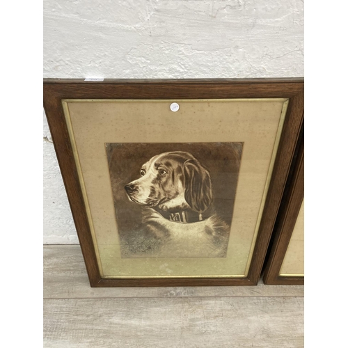 1243 - Three late 19th century oak framed Ethel Hodgson monochrome watercolours of animals - largest approx... 