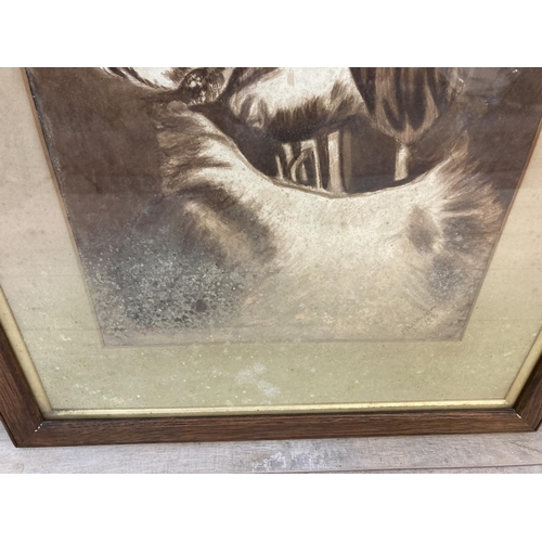 1243 - Three late 19th century oak framed Ethel Hodgson monochrome watercolours of animals - largest approx... 