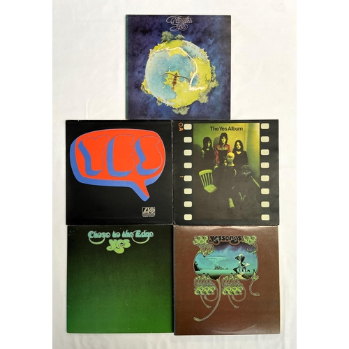 Lot 35        