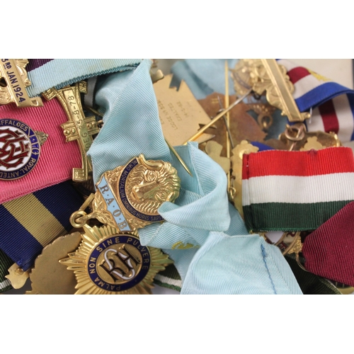 A collection of RAOB jewels to include Elizabeth II Coronation Lodge ...