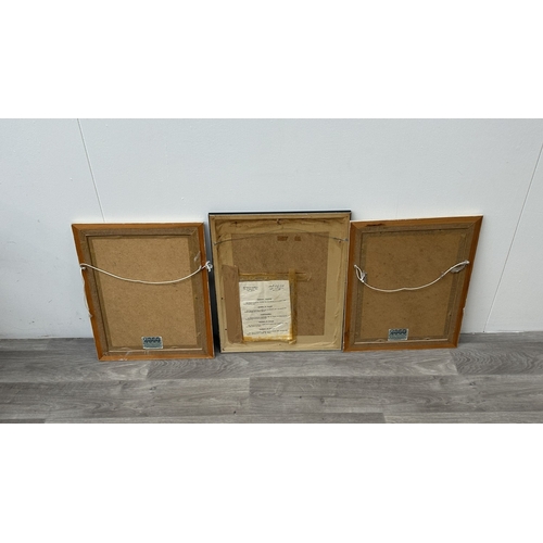 203 - Three framed Egyptian papyrus paintings - largest approx. 51cm high x 42cm wide