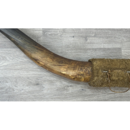 252A - A pair of taxidermy bull horns - approx. 158cm wide