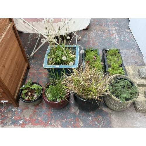 135 - Seven garden planters, one cast stone and six glazed - largest approx. 31cm high x 40cm wide x 40cm ... 