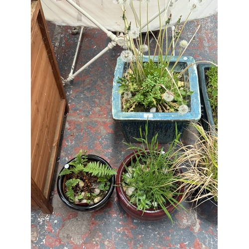 135 - Seven garden planters, one cast stone and six glazed - largest approx. 31cm high x 40cm wide x 40cm ... 