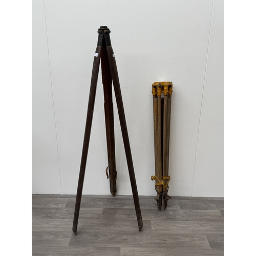 Lot 56        