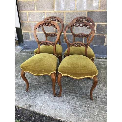 144 - A set of four Victorian balloon back chairs, with carved backs and gold upholstered seats