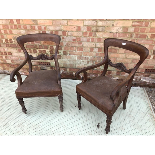 70 - A Pair of Victorian mahogany balloon back carver chairs with brown leather seats