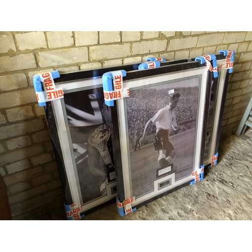 188 - A set of 5 hand signed framed pictures supplied by wonderland memorabilia, signed pictures of: Steve... 