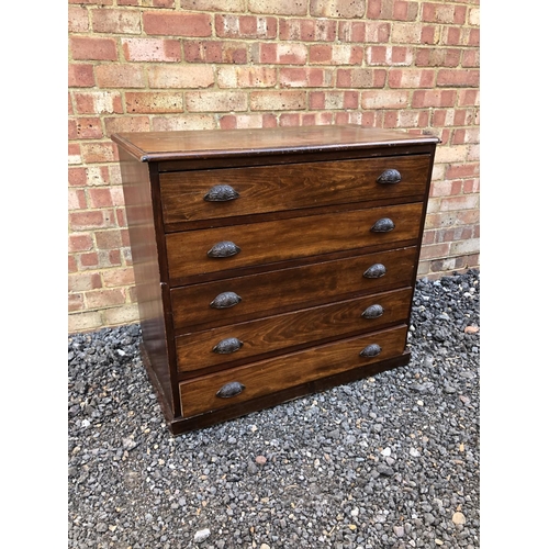 55 - A Mahogany chest of five drawers with cup handles 82x44x82