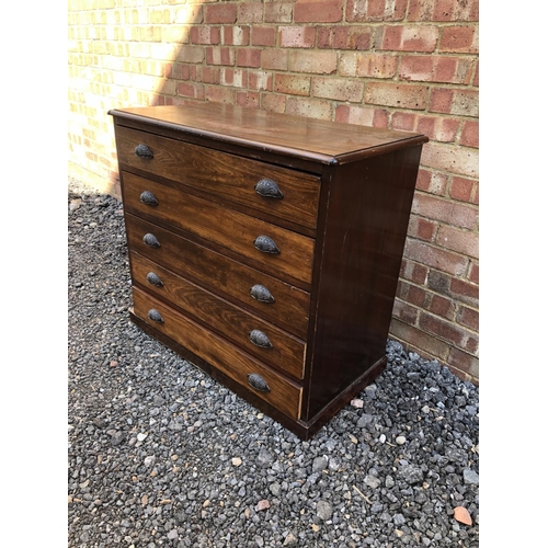 55 - A Mahogany chest of five drawers with cup handles 82x44x82