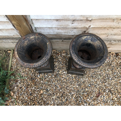 265 - A pair of Black cast Iron garden urns on stands (each 40cm high)