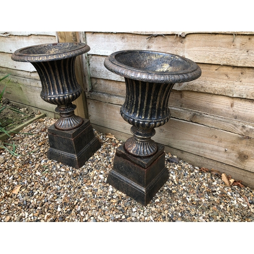 265 - A pair of Black cast Iron garden urns on stands (each 40cm high)