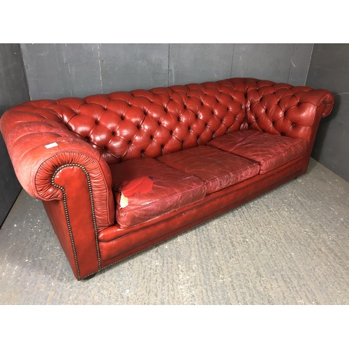 40 - A red leather three seat Chesterfield sofa by Pegasus