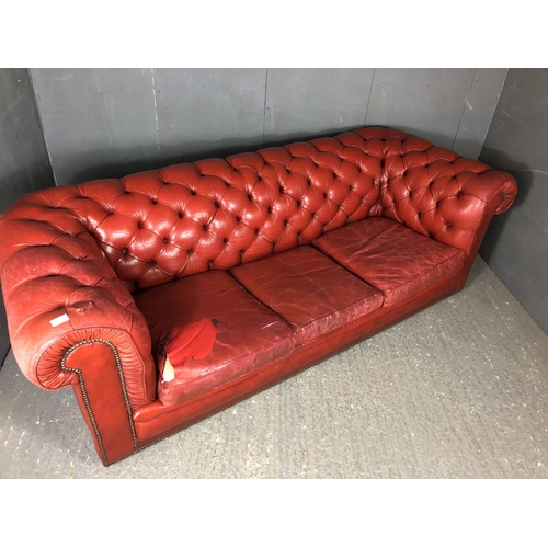 40 - A red leather three seat Chesterfield sofa by Pegasus