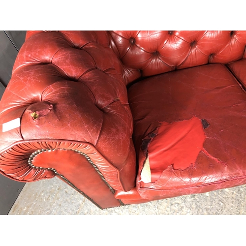 40 - A red leather three seat Chesterfield sofa by Pegasus