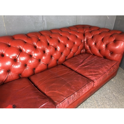 40 - A red leather three seat Chesterfield sofa by Pegasus