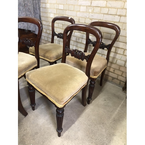 170 - A set of five mahogany balloon back chairs with gold upholstered seats