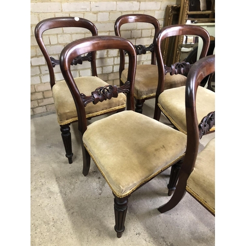 170 - A set of five mahogany balloon back chairs with gold upholstered seats