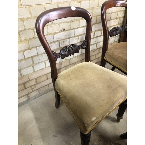 170 - A set of five mahogany balloon back chairs with gold upholstered seats