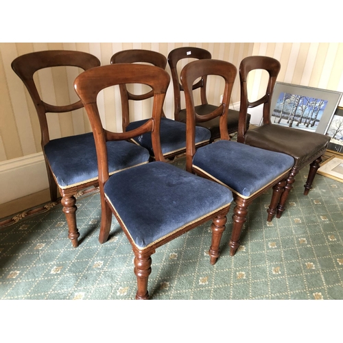 239 - A set of six Victorian balloon back chairs with a single bar to the back. Four upholstered in a blue... 