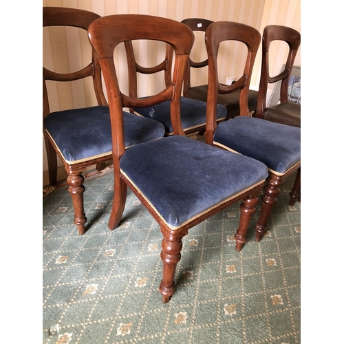 239 - A set of six Victorian balloon back chairs with a single bar to the back. Four upholstered in a blue... 