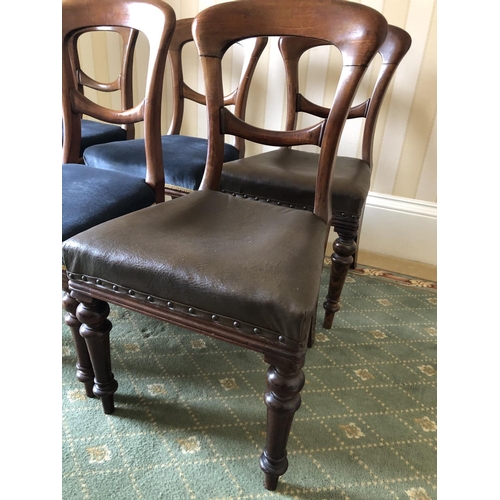 239 - A set of six Victorian balloon back chairs with a single bar to the back. Four upholstered in a blue... 