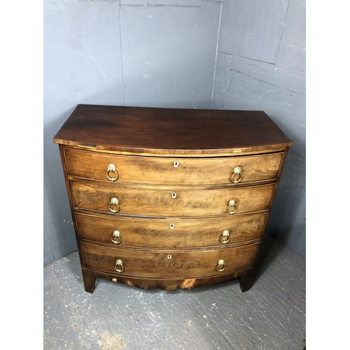 322 - A Victorian mahogany bow fronted chest of four long drawers with brass drop handles 104x50x104