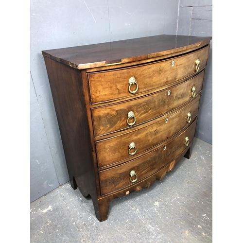 322 - A Victorian mahogany bow fronted chest of four long drawers with brass drop handles 104x50x104