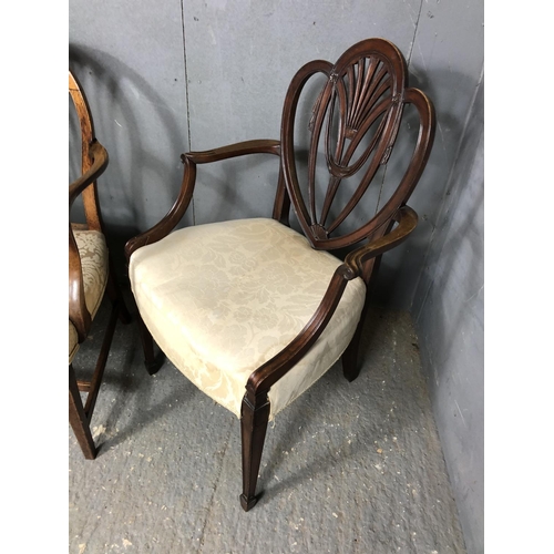 324 - Two early Victorian mahogany carver chairs