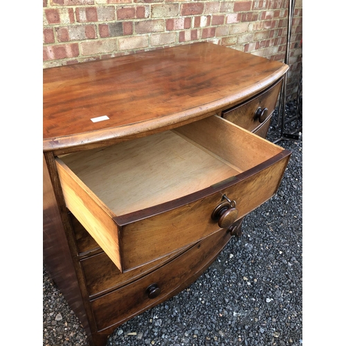 39 - A Victorian mahogany bow front chest of five drawers 102x54x102