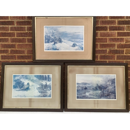 579 - 3 wooden framed bird prints by A. Thorburn, 1 unglazed
