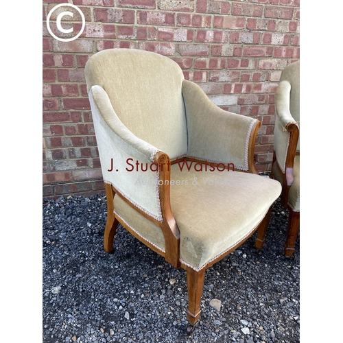 110 - A pair of Edwardian satinwood salon chairs upholstered in gold