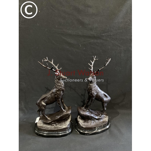 629 - Pair of Bronze stags on marble bases, height 43 cms