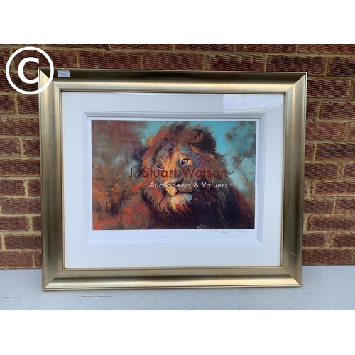 804 - Rolf Harris Windswept Lion Framed Limited Edition print 26/195 paper edition 94 x 78 cms