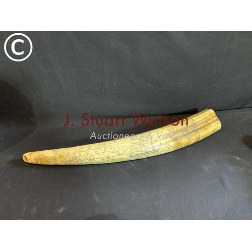 728 - Replica scrimshaw tusk length approx 57 cms